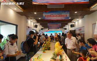 遂溪新闻爆料最新消息视频,视频揭露惊人真相！  第1张